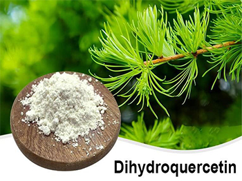 What Foods Are High In Taxifolin?